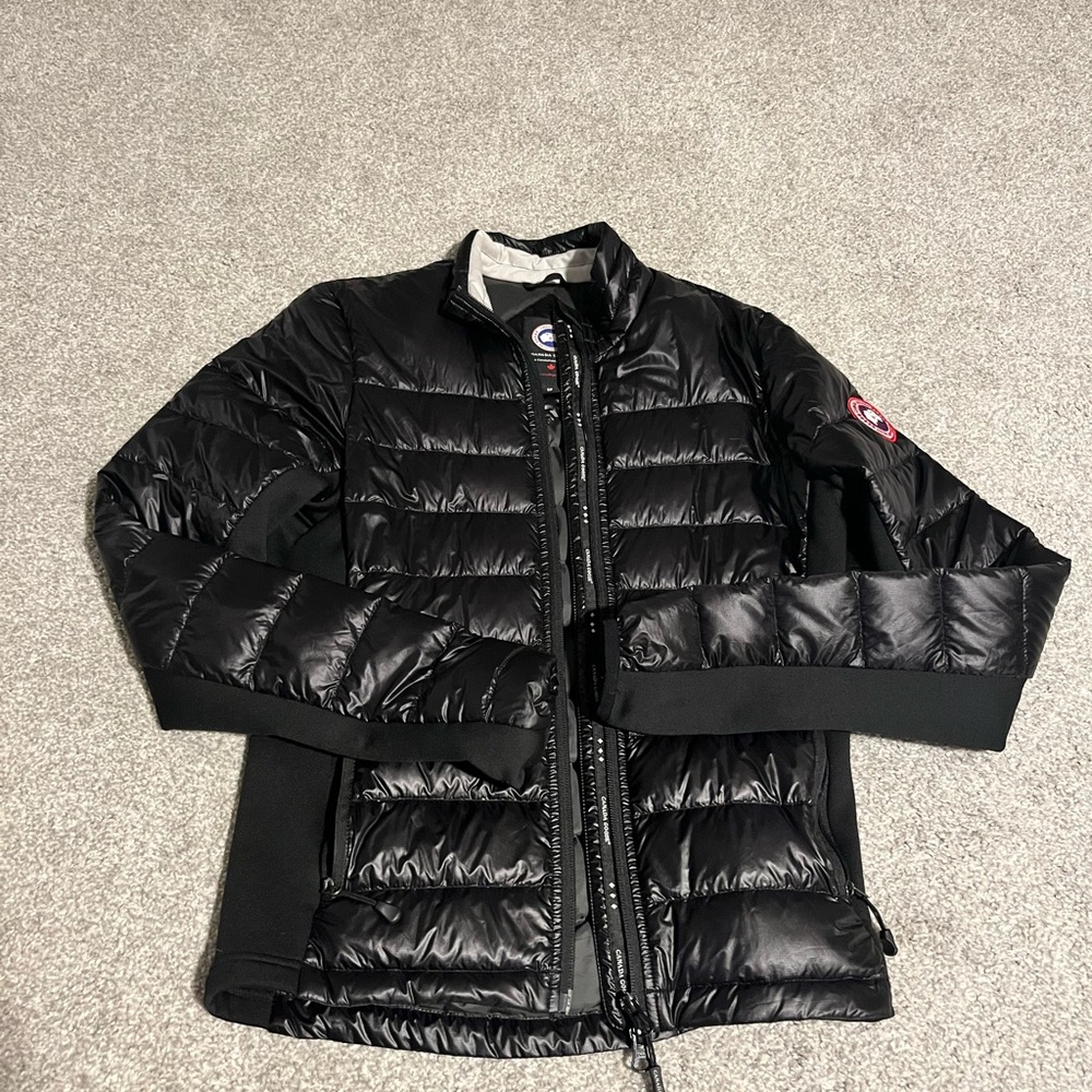 Canada goose, small, black